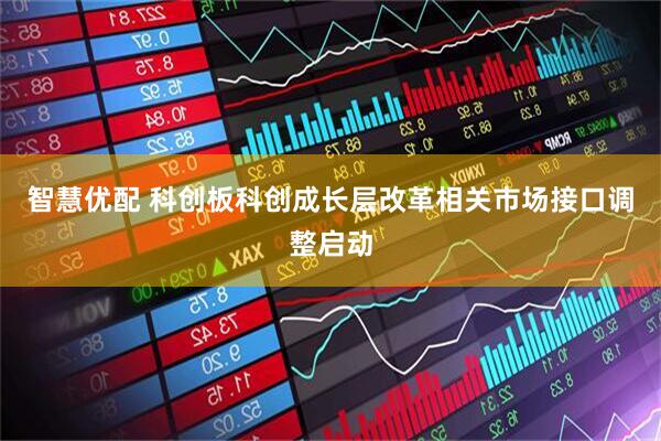 智慧优配 科创板科创成长层改革相关市场接口调整启动