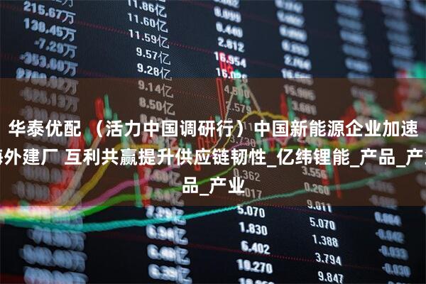 华泰优配 （活力中国调研行）中国新能源企业加速海外建厂 互利共赢提升供应链韧性_亿纬锂能_产品_产业