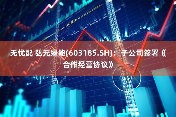 无忧配 弘元绿能(603185.SH)：子公司签署《合作经营协议》